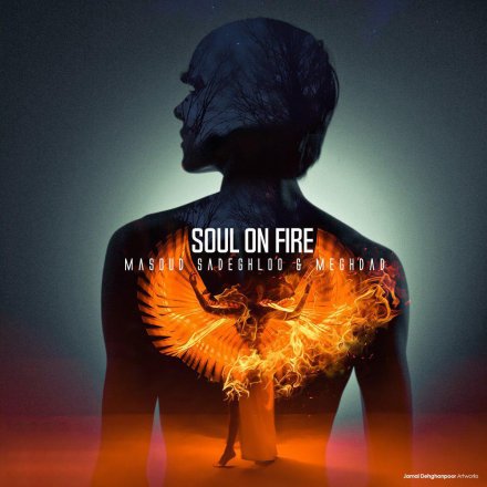 Soul On Fire