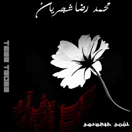 گل به جوش آمد