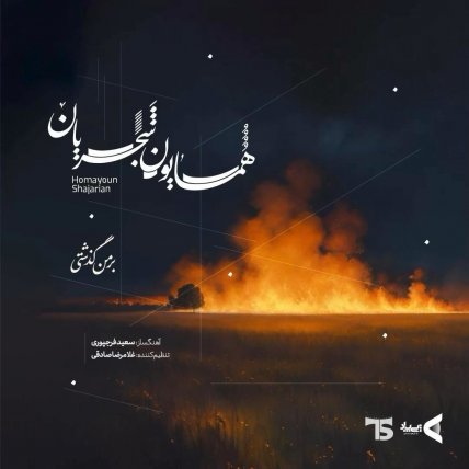 بر من گذشتی