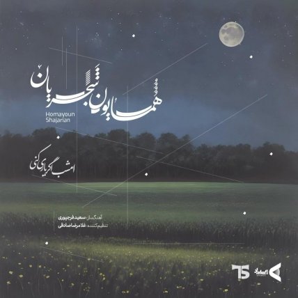 امشب اگر یاری کنی