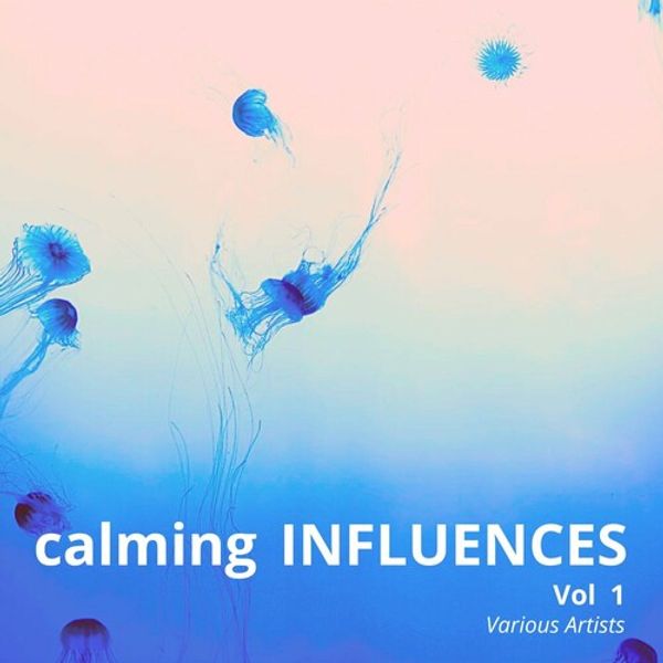 Calming Influences And Vol. 1
