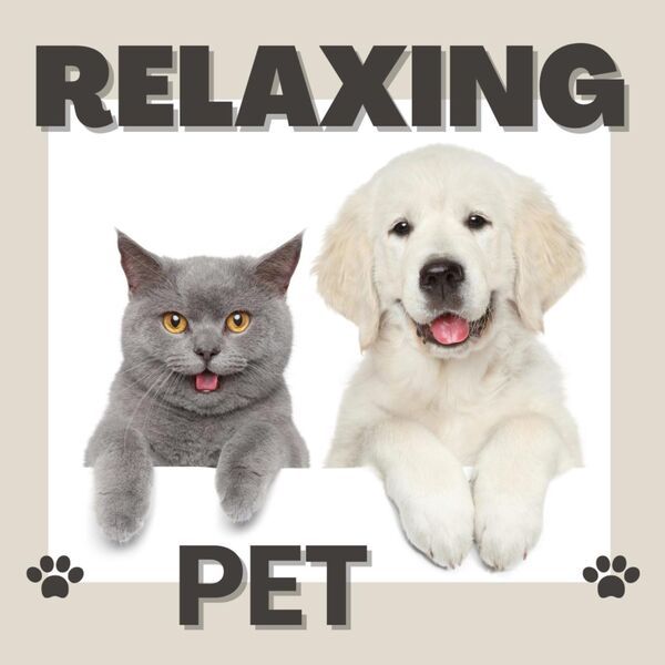 Relaxing Pet