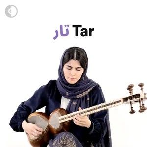 Persian Tar Collection
