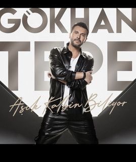 gokhan tepe